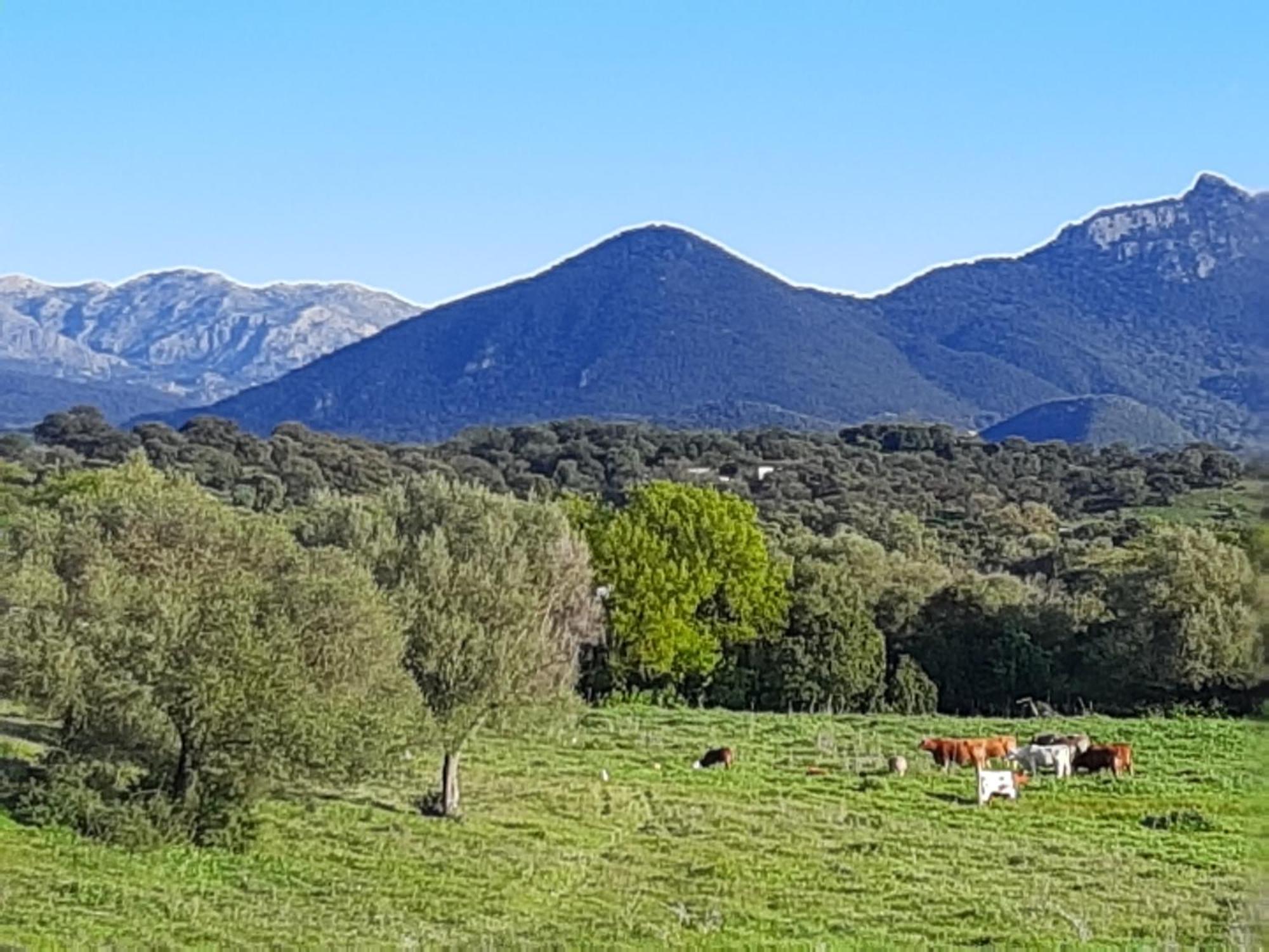 Cabana Rustica En Un Rancho Con Caballos, Prado Del Rey, Andalucia Екстериор снимка